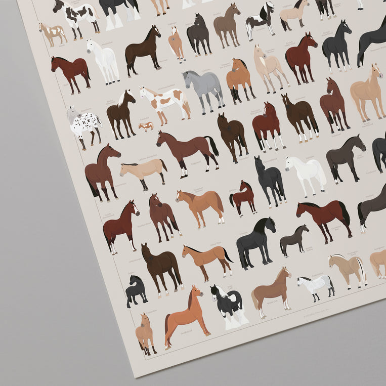 A Chart of Notable Horse Breeds