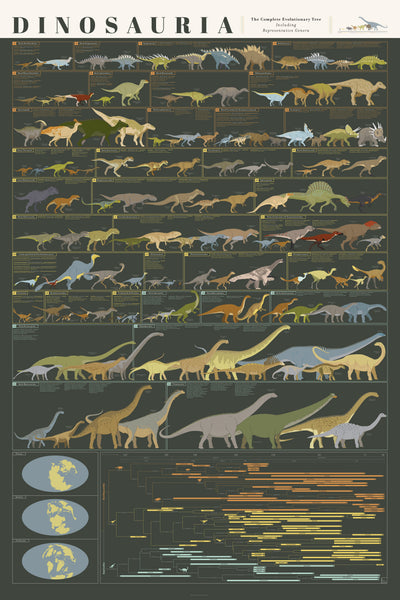 Dinosaur Evolution Chart