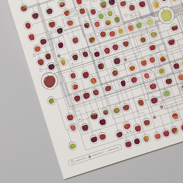 Apples: A Genealogy