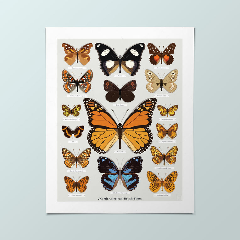 Butterfly Mini-Print 4-Pack