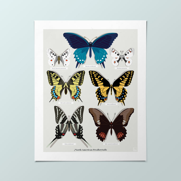 Butterfly Mini-Print 4-Pack