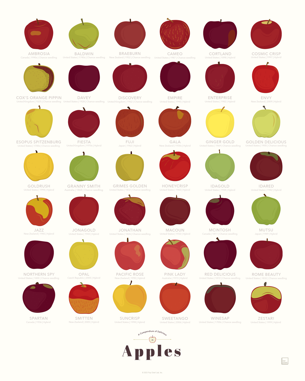 A Compendium of Delicious Apples