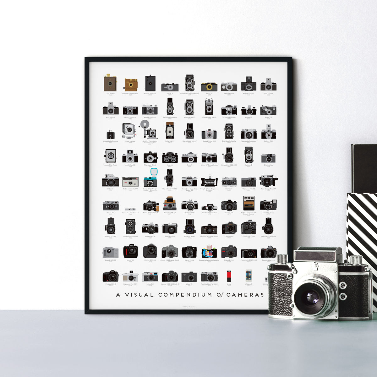 A Visual Compendium of Cameras print, detail view