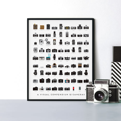 A Visual Compendium of Cameras print, detail view