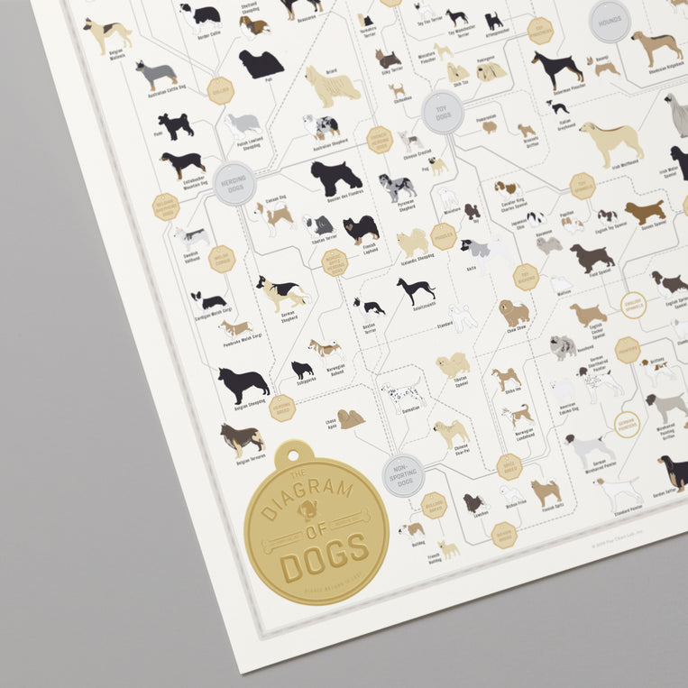 The Diagram of Dogs