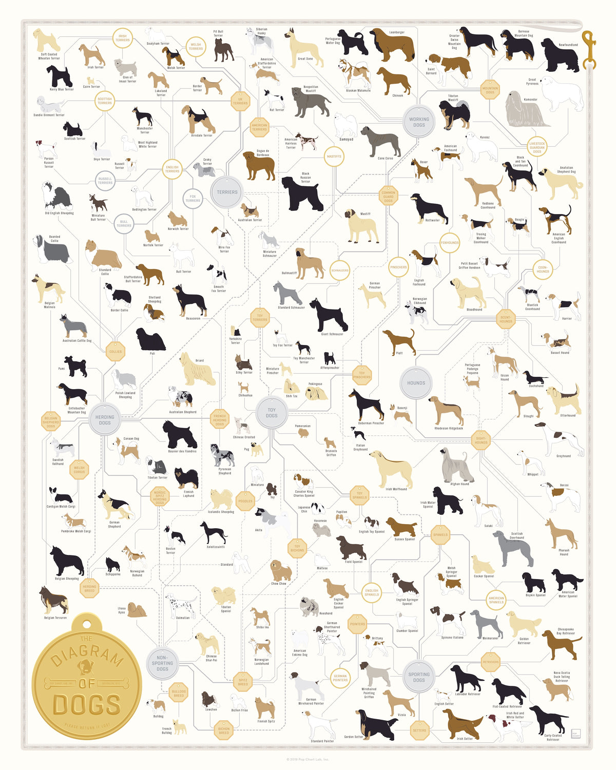 The Diagram of Dogs