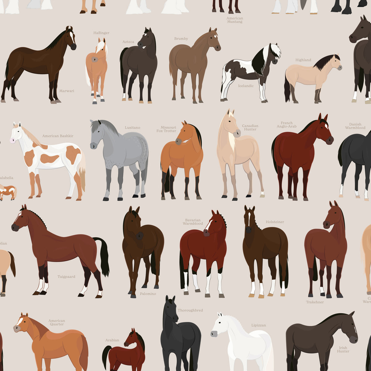 A Chart of Notable Horse Breeds print, styled view