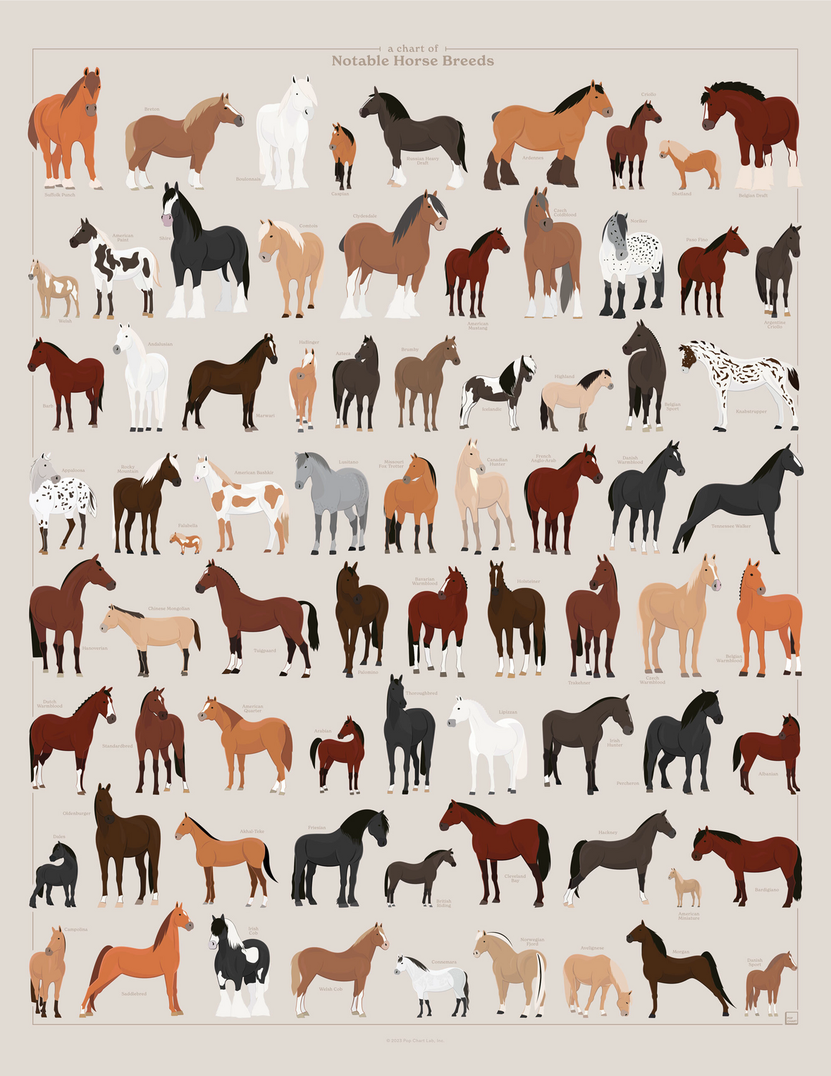 A Chart of Notable Horse Breeds Pop Chart