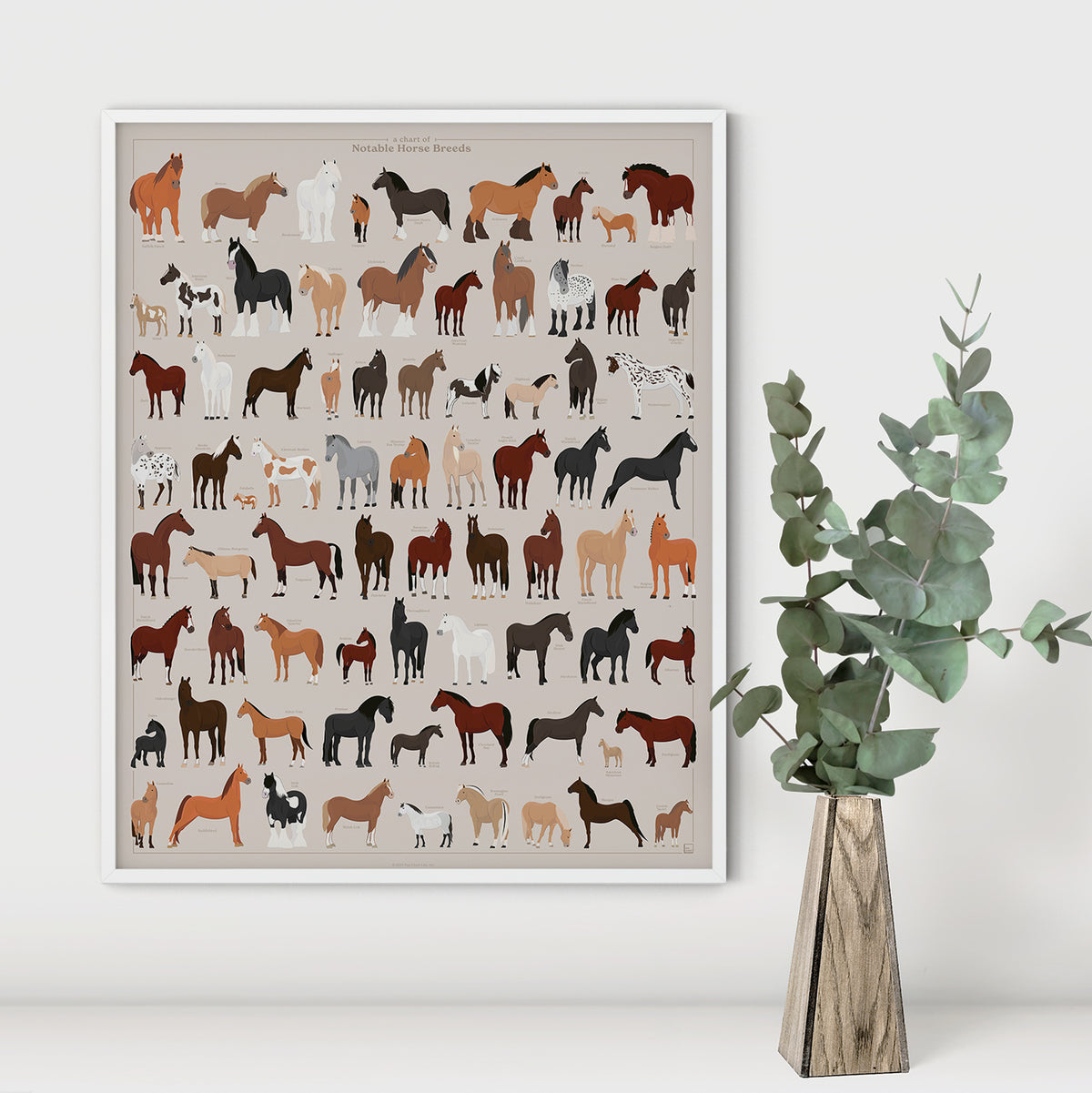 A Chart of Notable Horse Breeds print, detail view