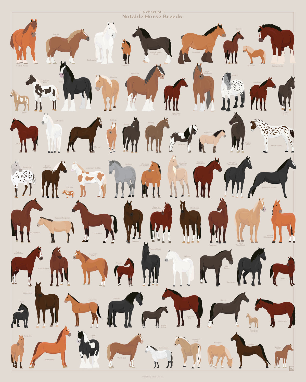 A Chart of Notable Horse Breeds
