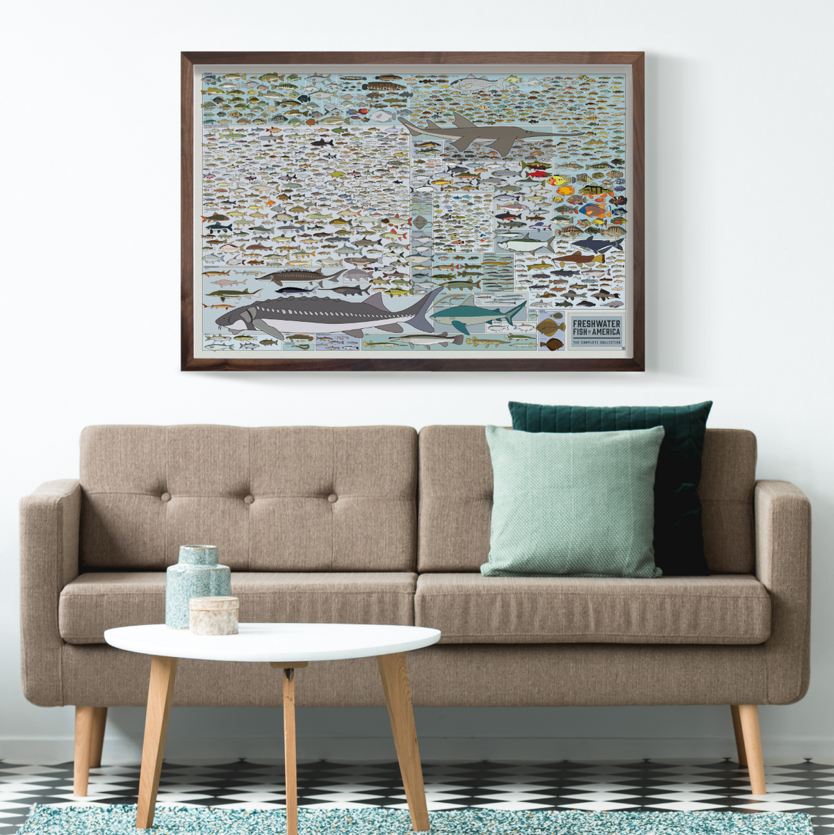 Freshwater Fish of America print, detail view