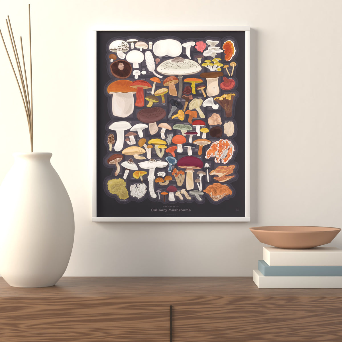 The Chart of Culinary Mushrooms