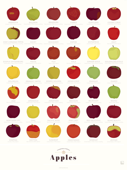 A Compendium of Delicious Apples