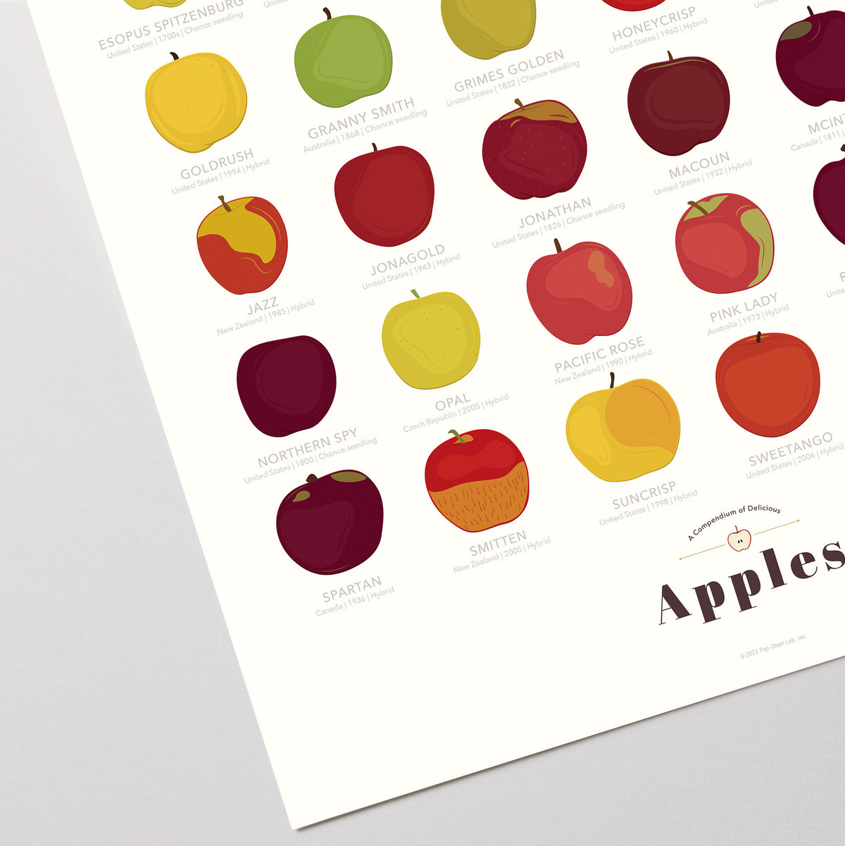 A Compendium of Delicious Apples print, close-up detail view
