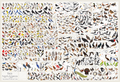 Birds of North America