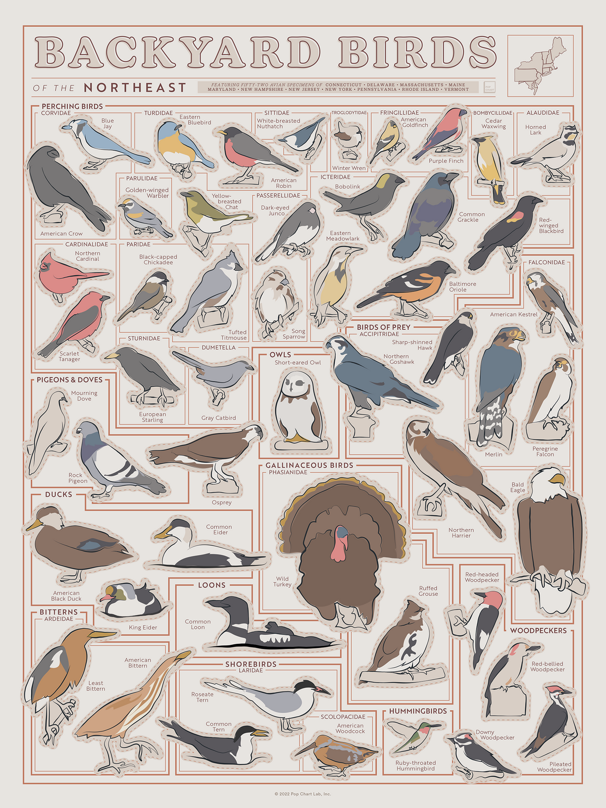 Backyard Birds of the Northeast Scratch-Off Chart
