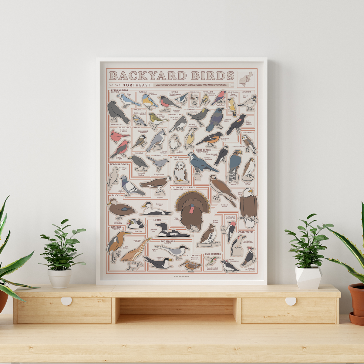 Backyard Birds of the Northeast Scratch-Off Chart
