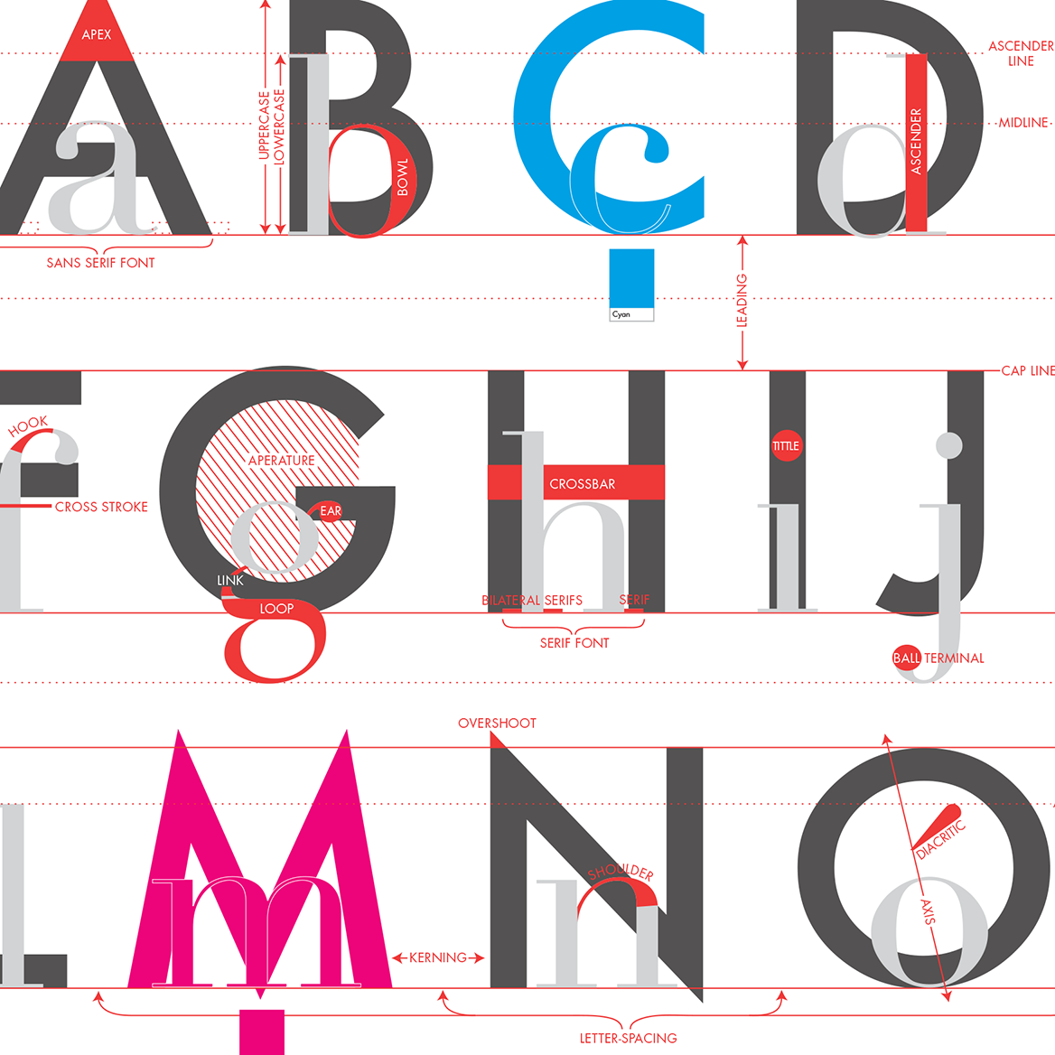 Alphabet of Typography print, styled view
