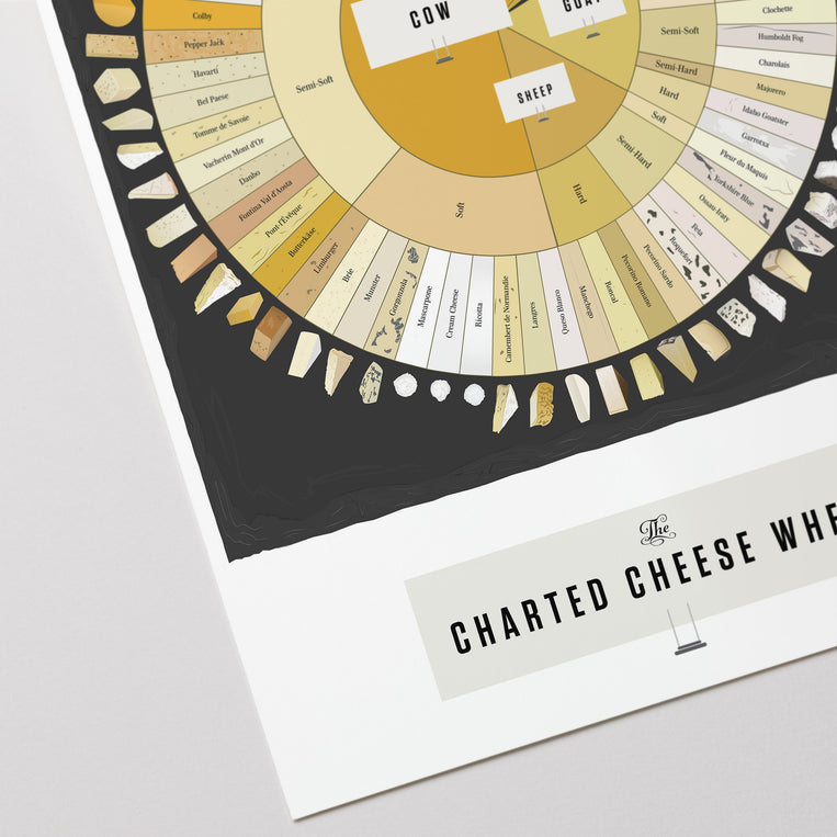 The Charted Cheese Wheel