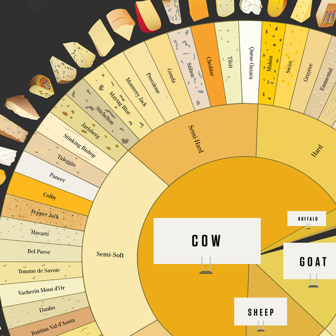 Types Of Cheese Chart