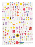Poster illustrating dozens of North American wildflower species as botanical icons.