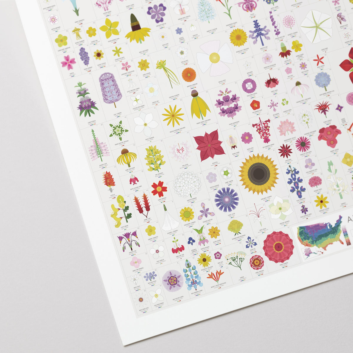 American Blooms print, close-up detail view
