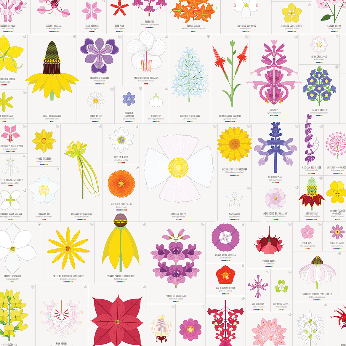 American Blooms print, styled view