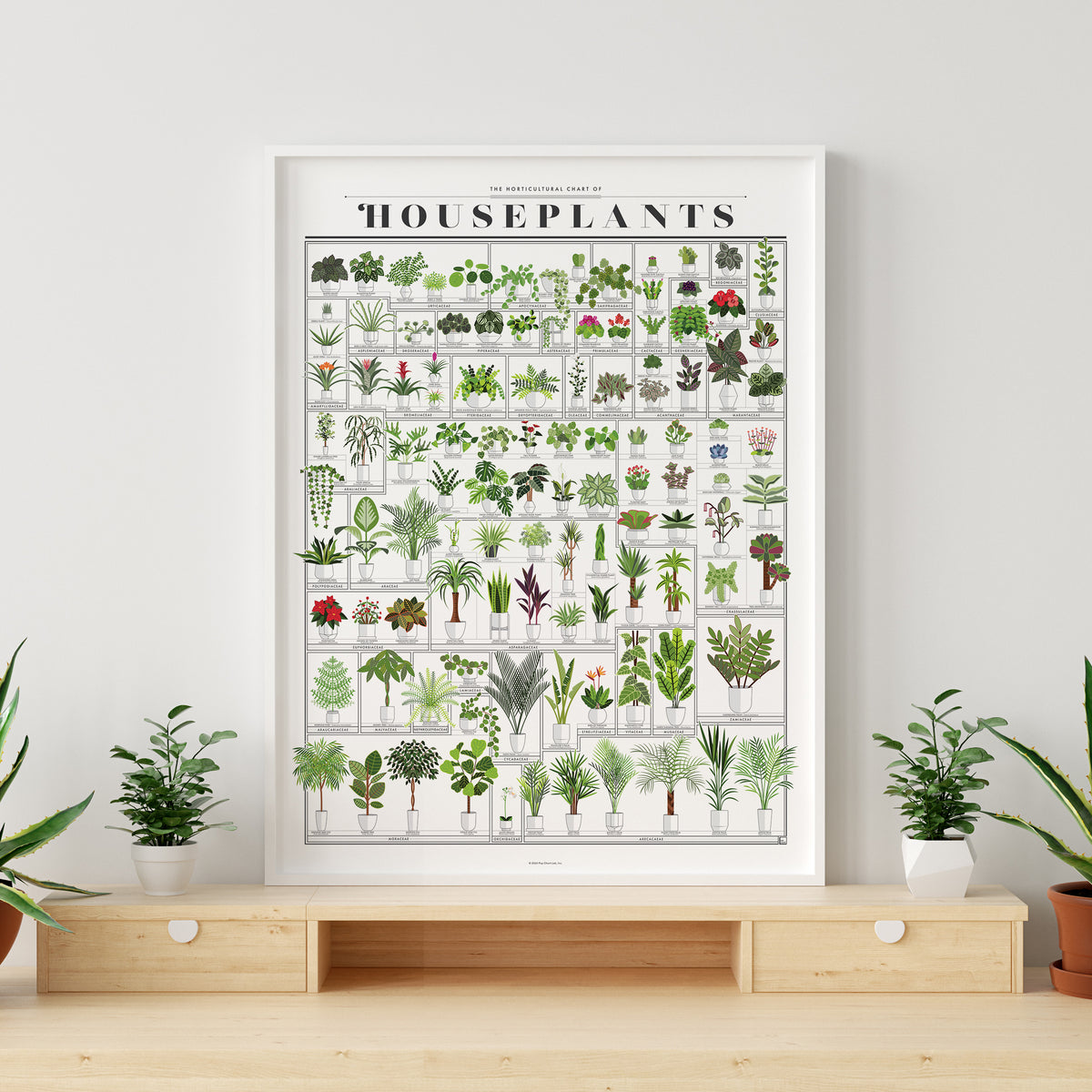 The Horticultural Chart of Houseplants print, detail view