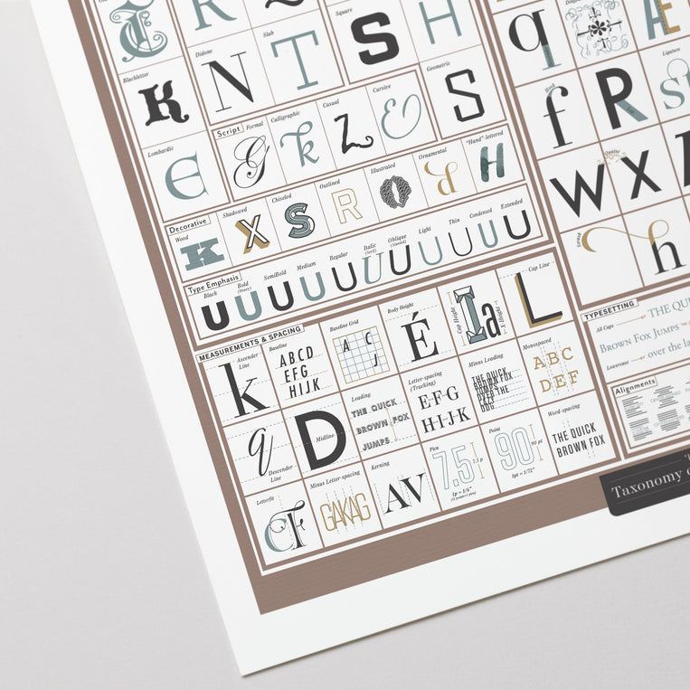The Taxonomy of Typography