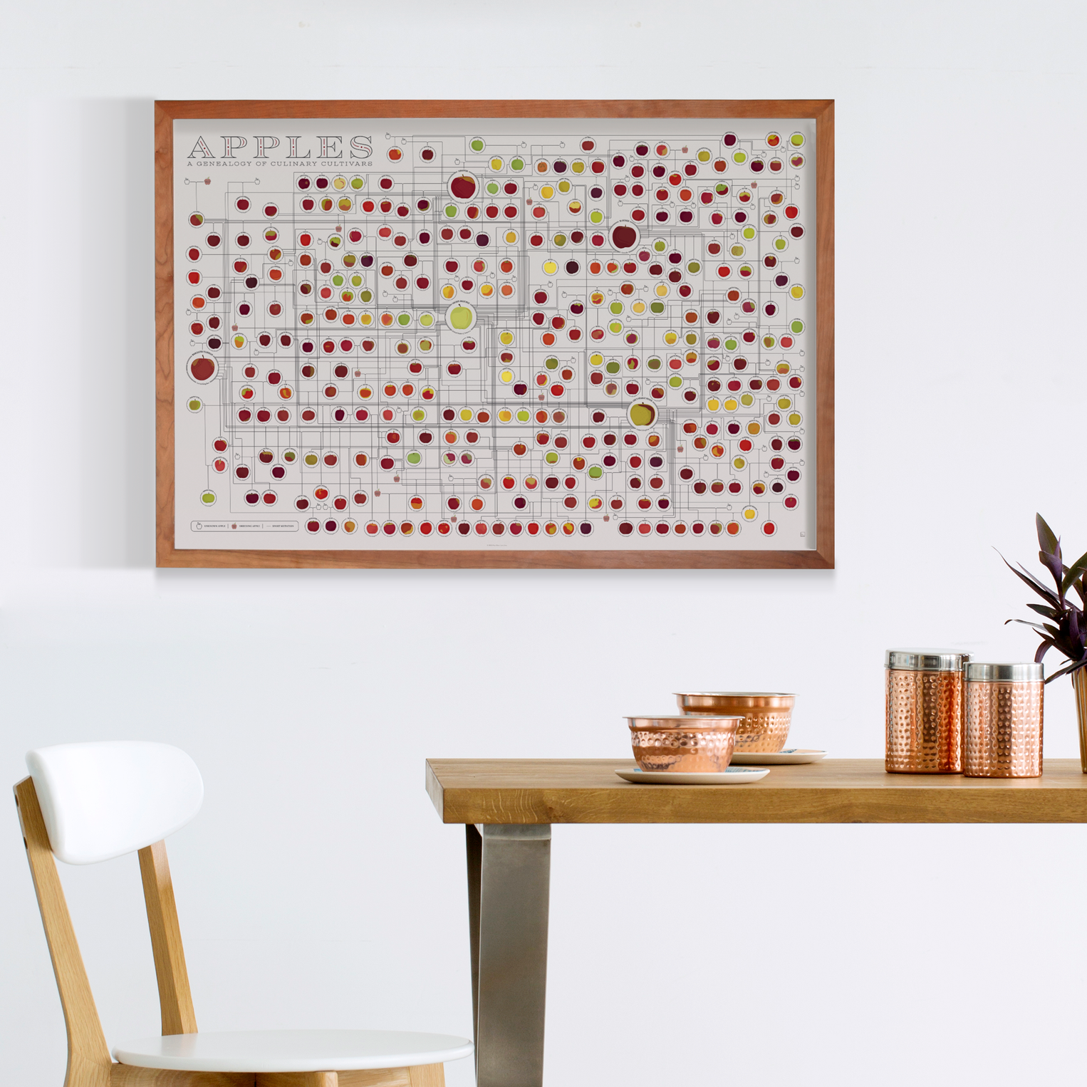 Apples: A Genealogy – Pop Chart