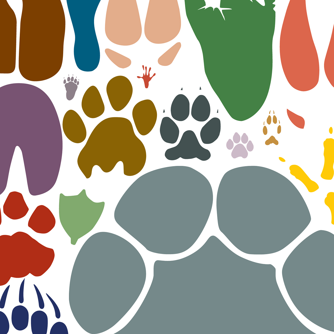 An Array of Animal Tracks: Actual Size! print, styled view