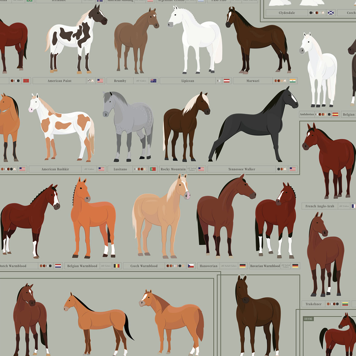 Horses: A Chart of Notable Breeds print, styled view