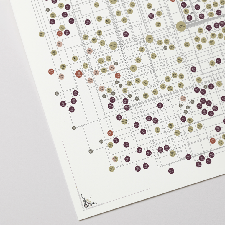 The Genealogy of Wine