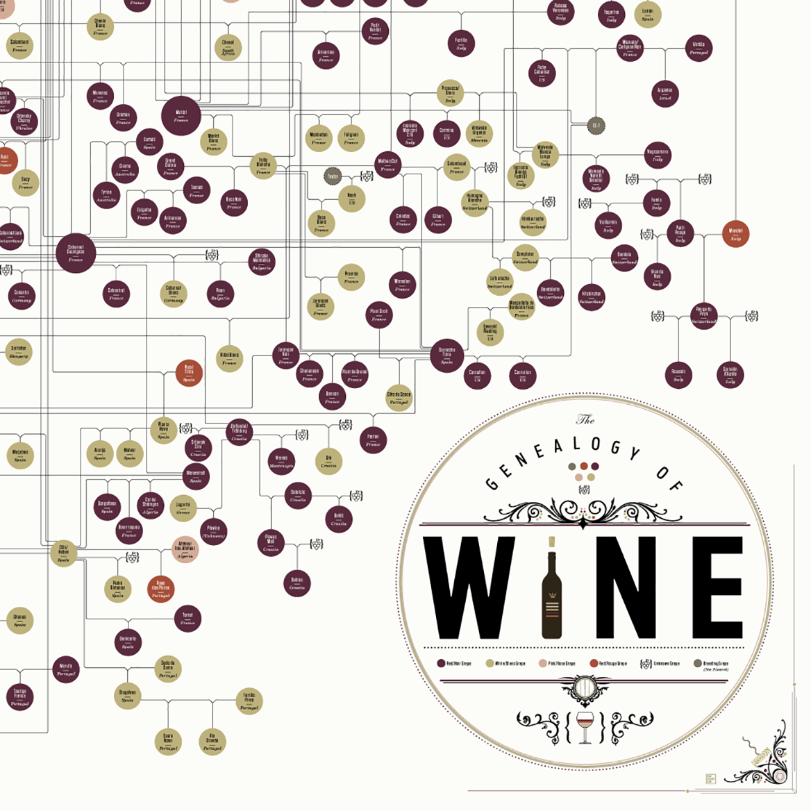 The Genealogy of Wine print, styled view