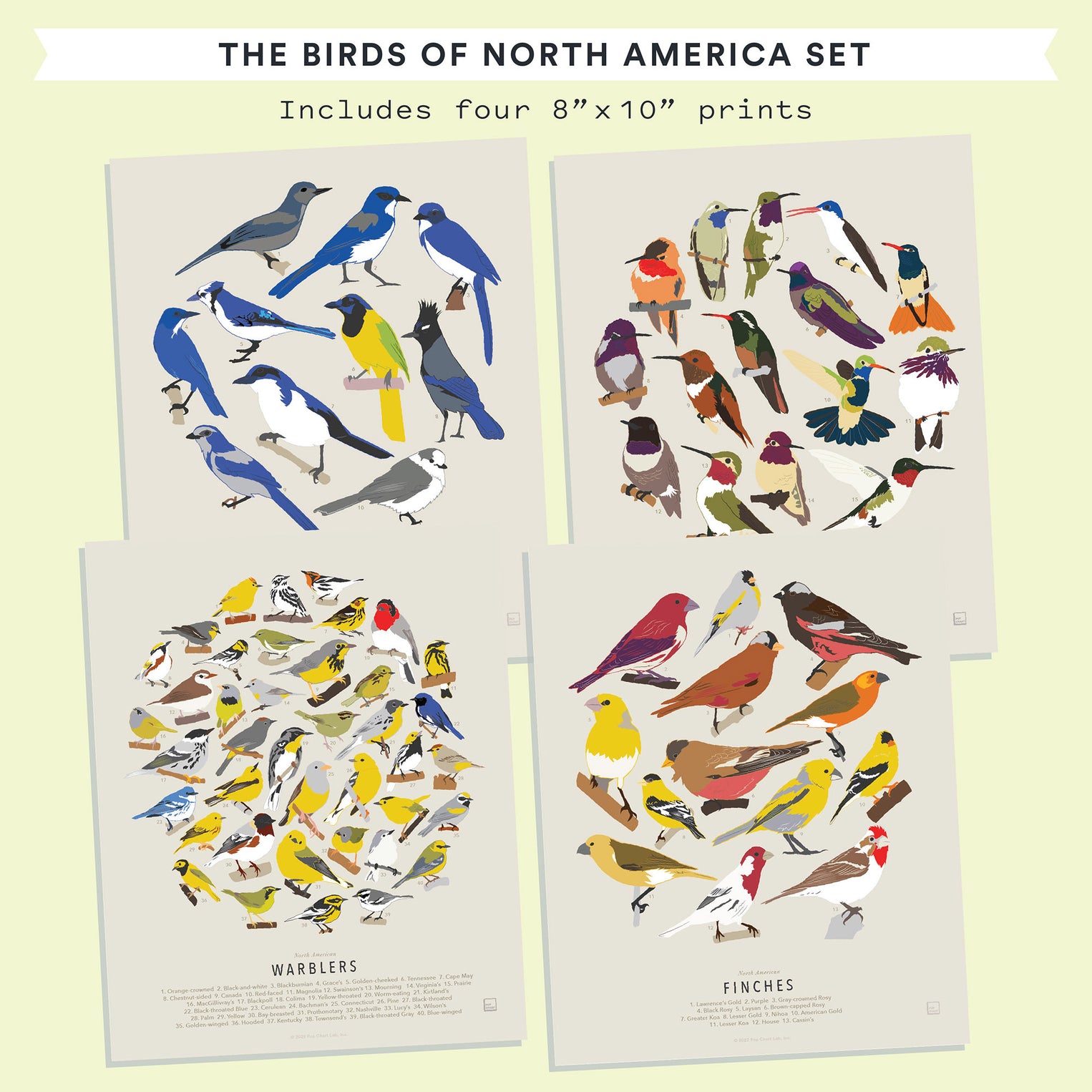 North American Birds Chart