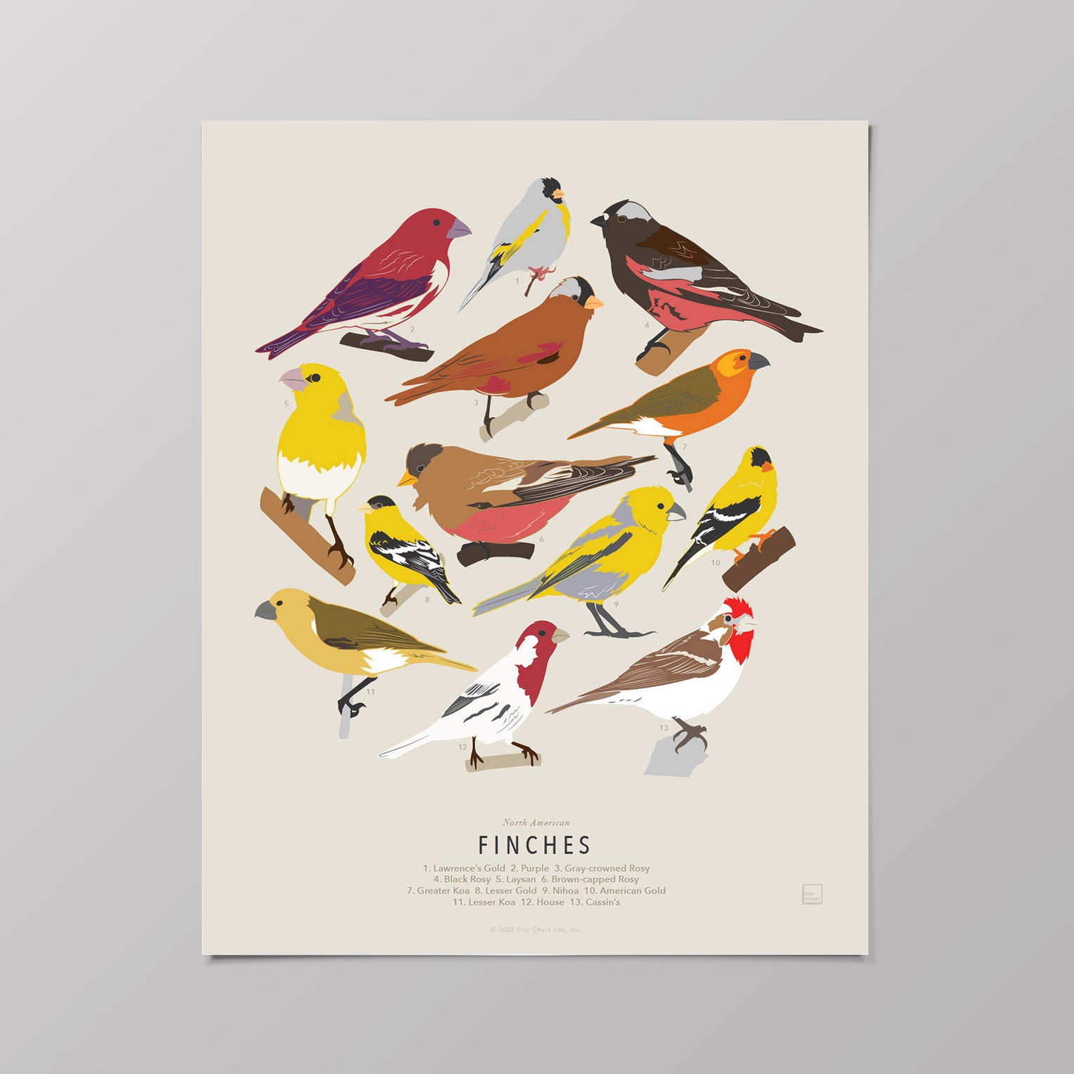 Birds of North America Mini-Print 4-Pack – Pop Chart