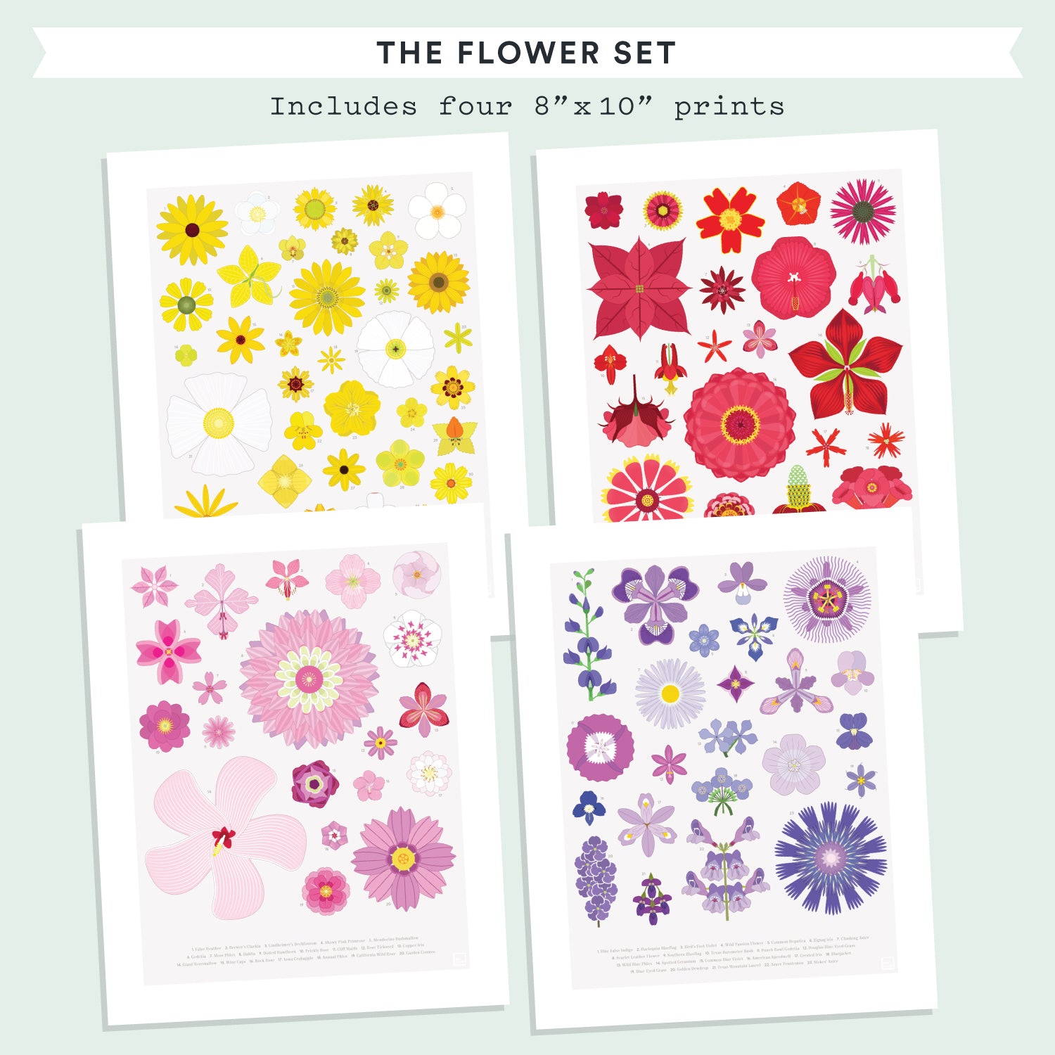 American Flowers Mini-Print 4-Pack – Pop Chart