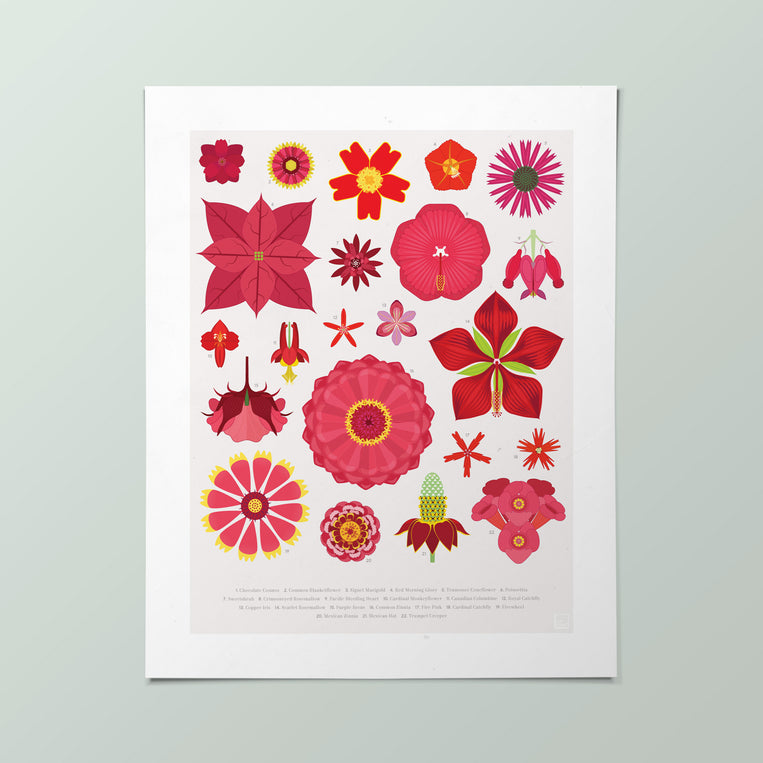 American Flowers Mini-Print 4-Pack