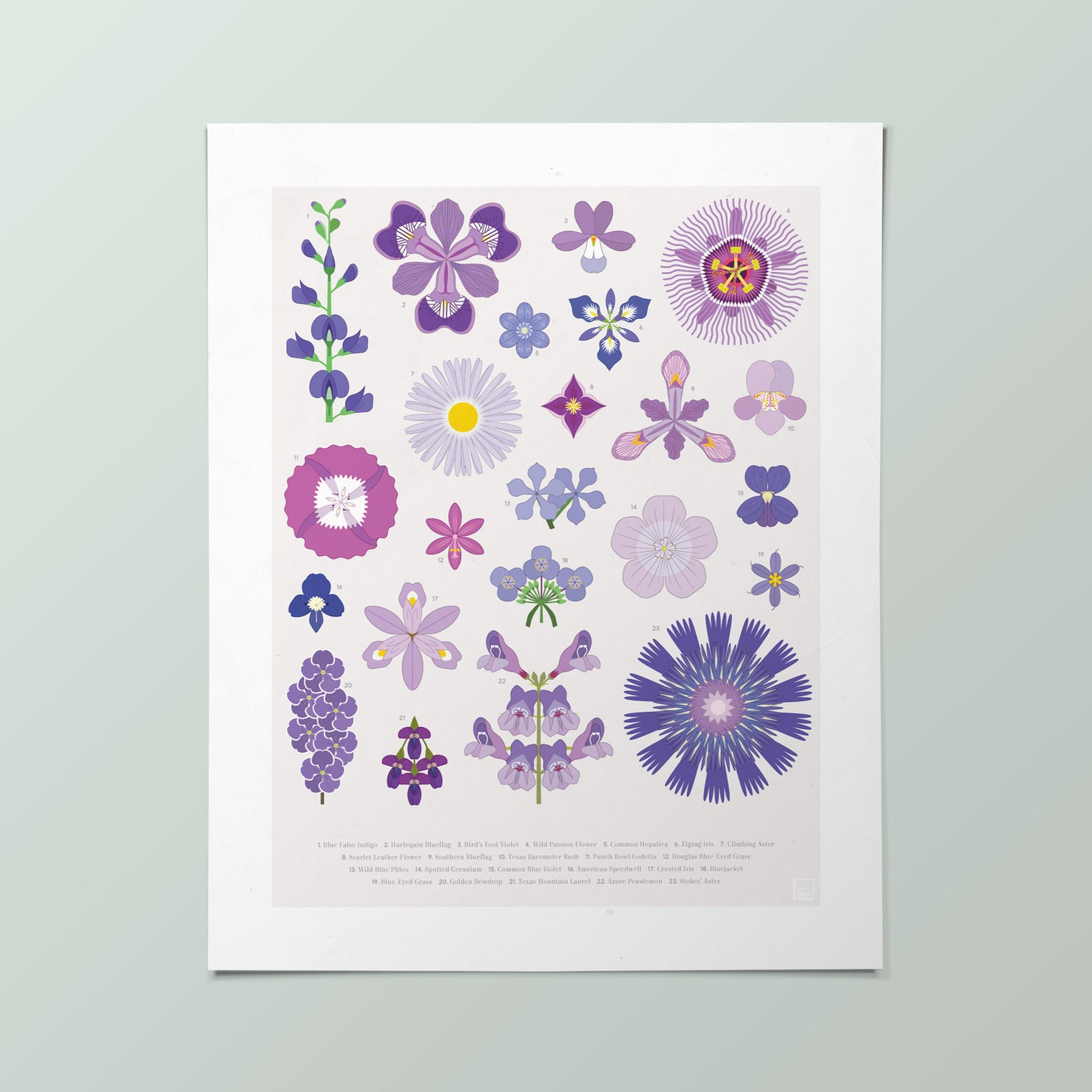 Edible Flowers: Chart / Poster / Food / Illustrations / Art Print