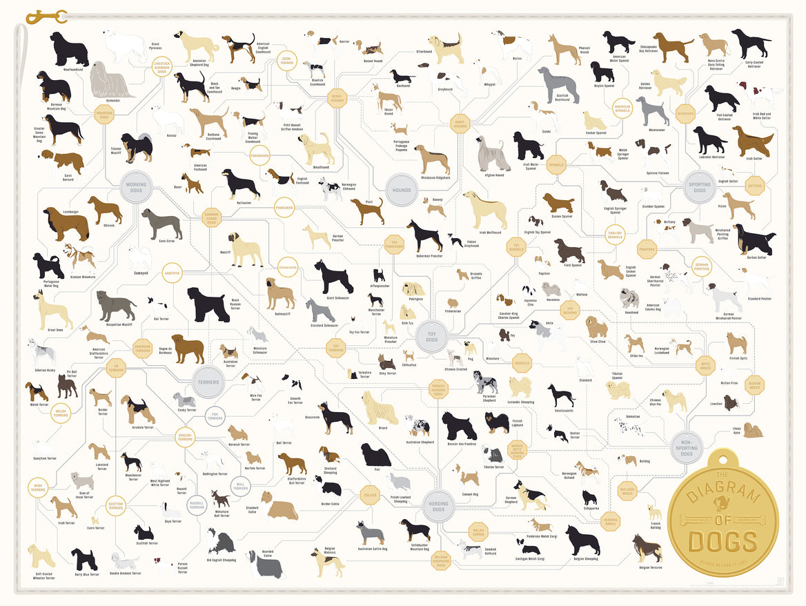 An Array of Animal Tracks: Actual Size! – Pop Chart